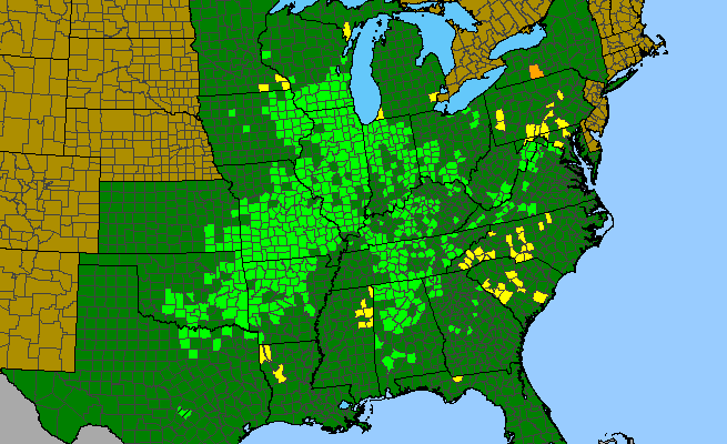 The range of Dodecatheon meadia